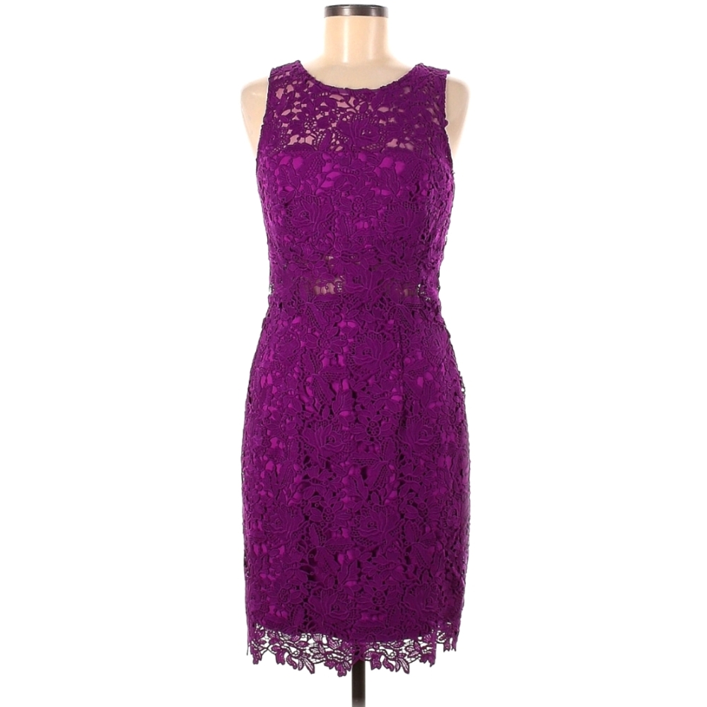 ML Monique Lhuillier mulberry lace dress sz 8